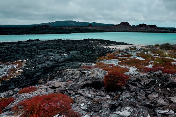 Galápagos — North, Central & South Islands aboard the Estrella del Mar
