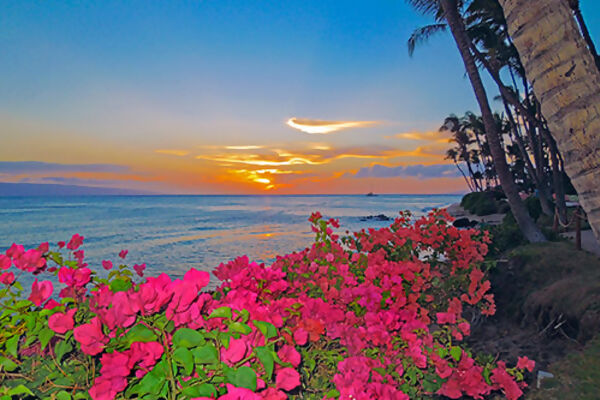 Hawaii by Land & Sea