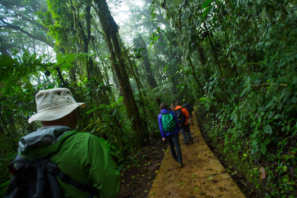 Costa Rica: Monteverde and La Fortuna